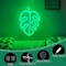 Tropical Summer Monstera Neon Sign, Green Palm Leaves LED Light Up Signs for Tropical Party Decorations, Home Safari Jungle Decor